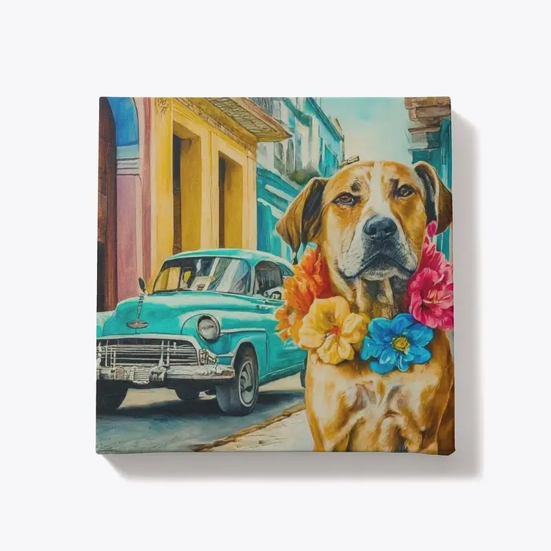 Dog In Cuba